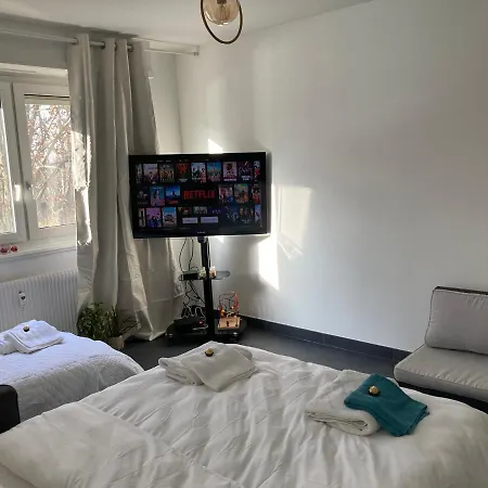 «la Source De Valaura » De L'eau A L'or Apartment Strasbourg